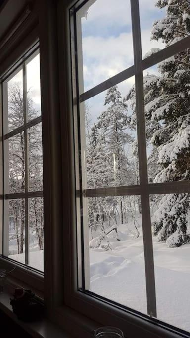 Koselig Med Sjel Pa Fjellet :) Casa vacanze Tjorhom
