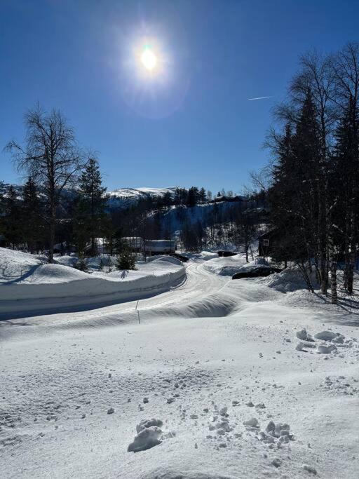 Koselig Med Sjel Pa Fjellet :) *
